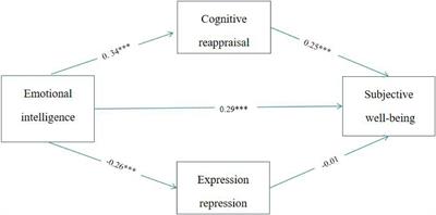 Emotional Intelligence, Emotional Regulation Strategies, and Subjective Well-Being Among University Teachers: A Moderated Mediation Analysis